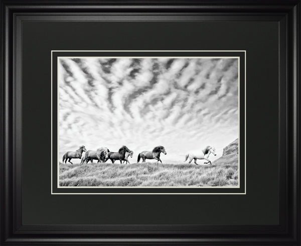 Horse Run III BY PHBurchett