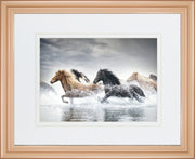 Horse Run V BY PHBurchett