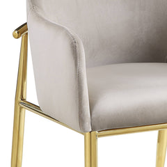 Barnard 37"H Velvet Side Chair (Set-2)
