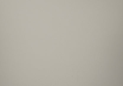 Harvey Synthetic Leather Upholstered Side Chair (Set-2)