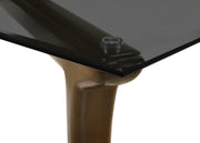 Danzel Rectangular Dining Table with Glasss Top