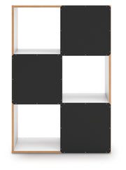 Onita Six Cube Organizer