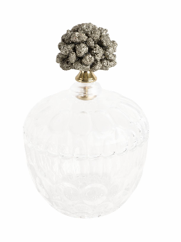 Rexrose Clear Jar 8"(in)