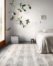 roomscene