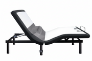 Gold Ultra Premium Adjustable Base & Dual Massage
