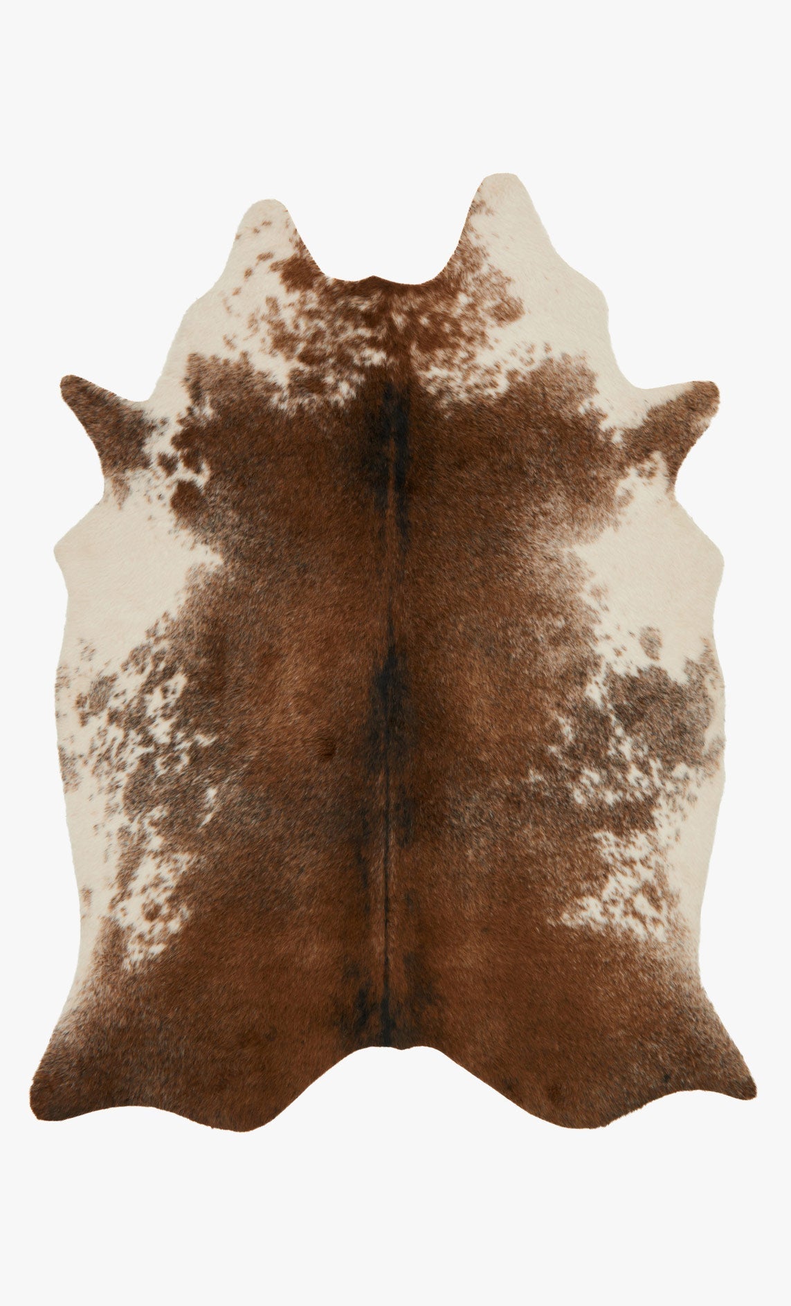 Loloi Grand Canyon GC-14 Coffee / Ivory