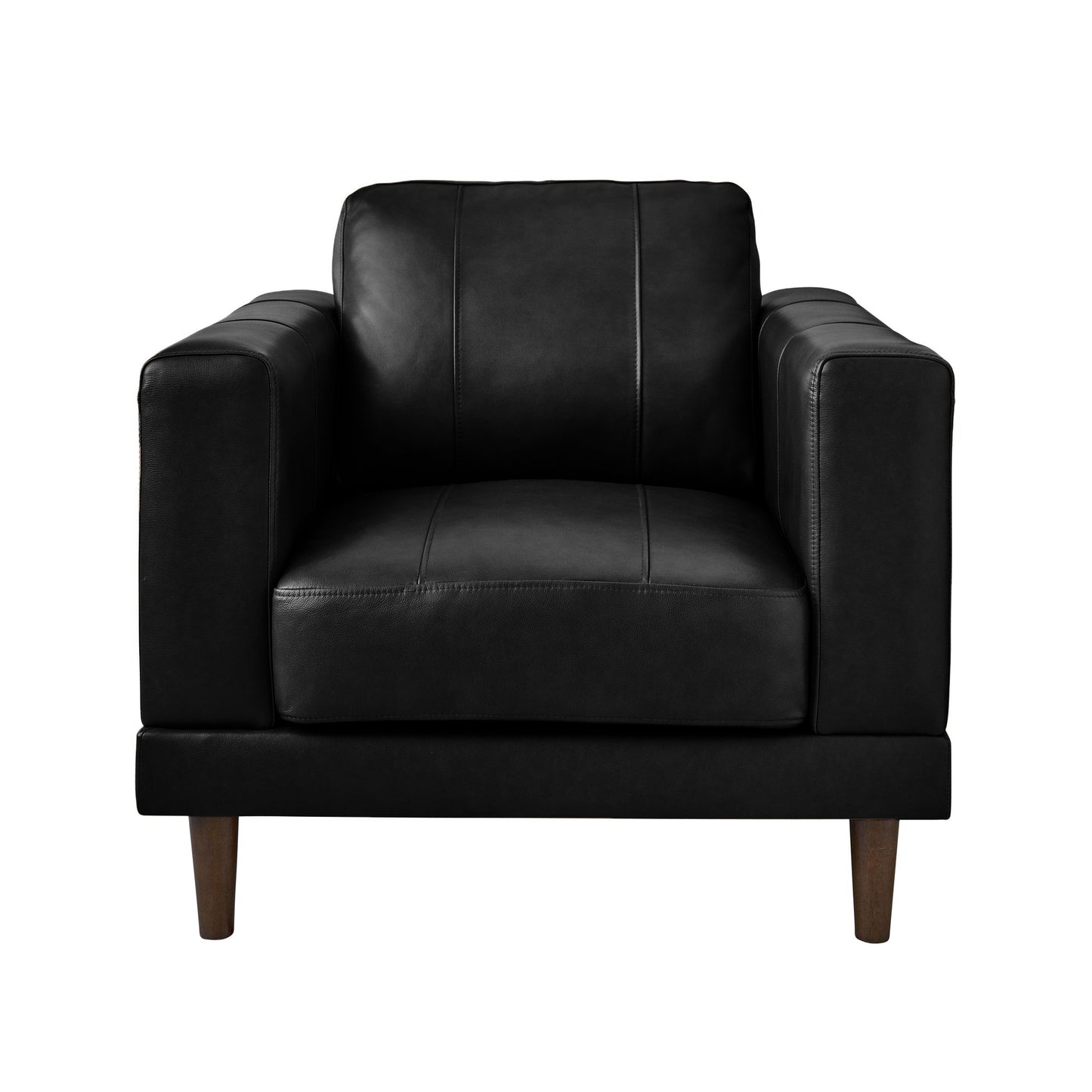 Hampton Chair In Fiero Black (Top Grain/PVC)