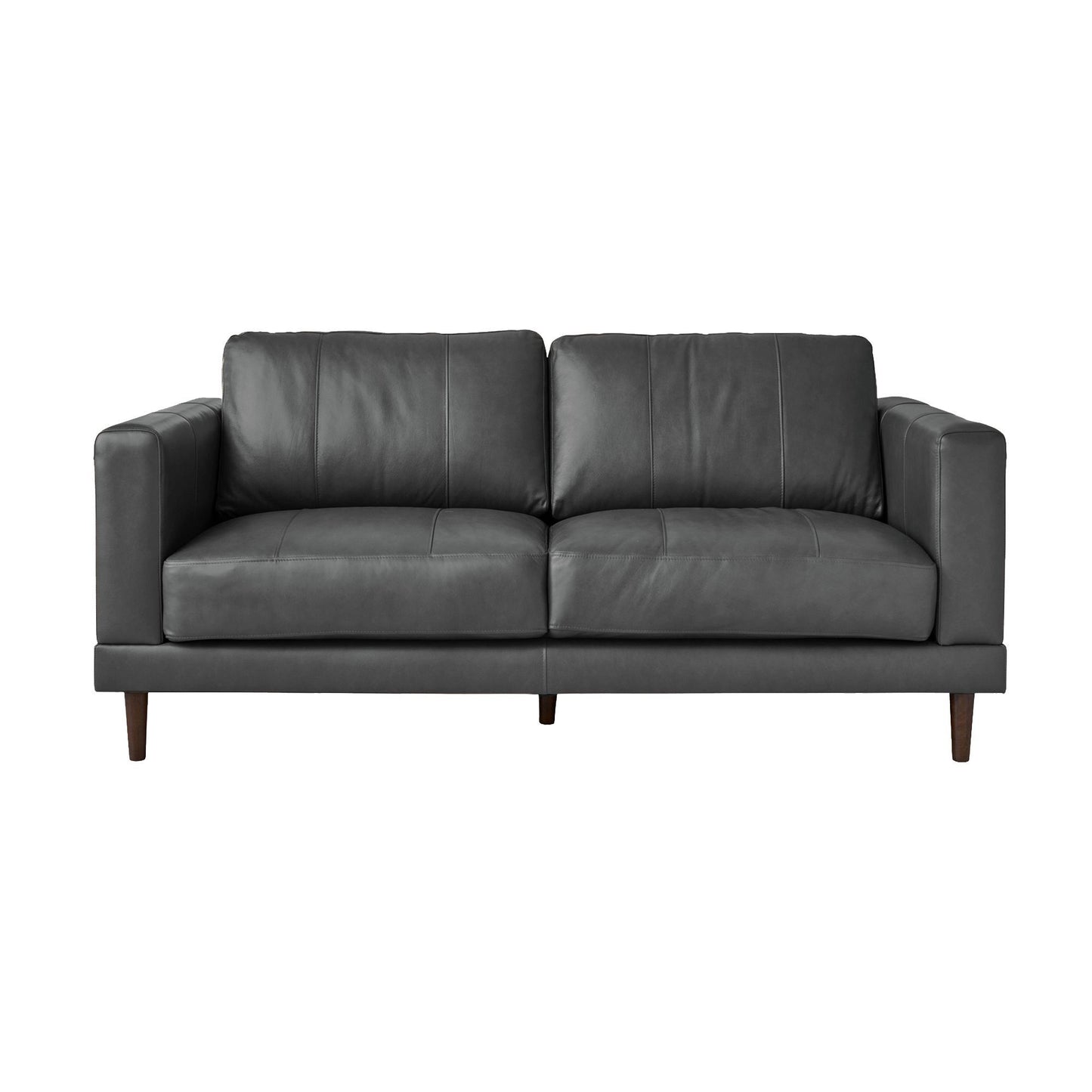 Hampton Loveseat in Fiero Charcoal (Top Grain / PVC)
