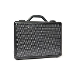 SlayCase® Vanity Travel Case in Sparkle
