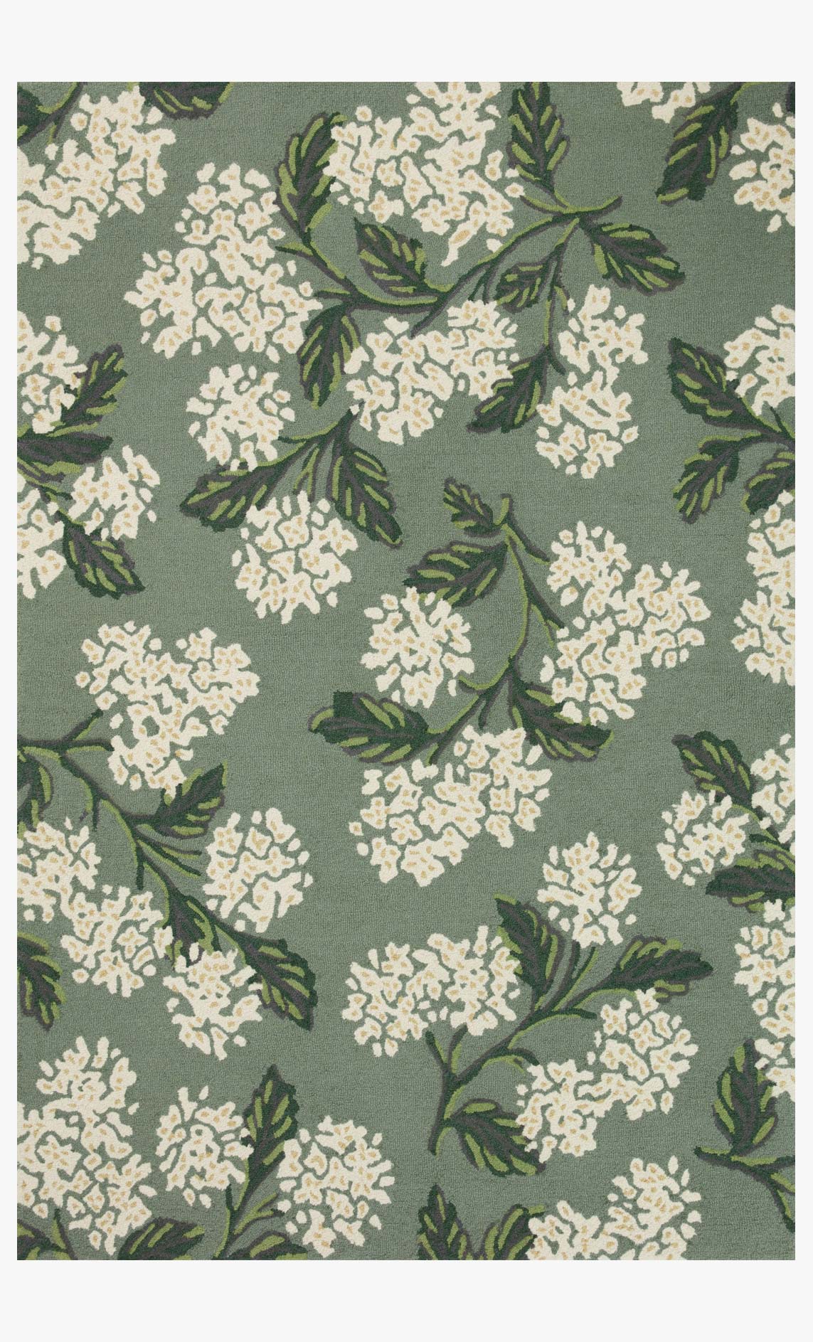 JOI-04 RP HYDRANGEA SAGE