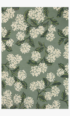 JOI-04 RP HYDRANGEA SAGE