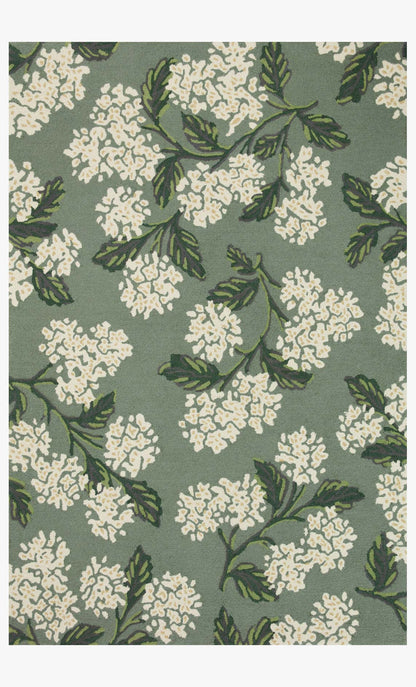 JOI-04 RP HYDRANGEA SAGE