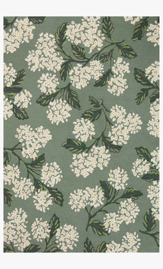 JOI-04 RP HYDRANGEA SAGE