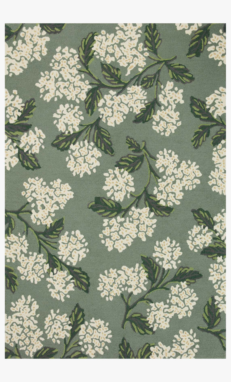 JOI-04 RP HYDRANGEA SAGE