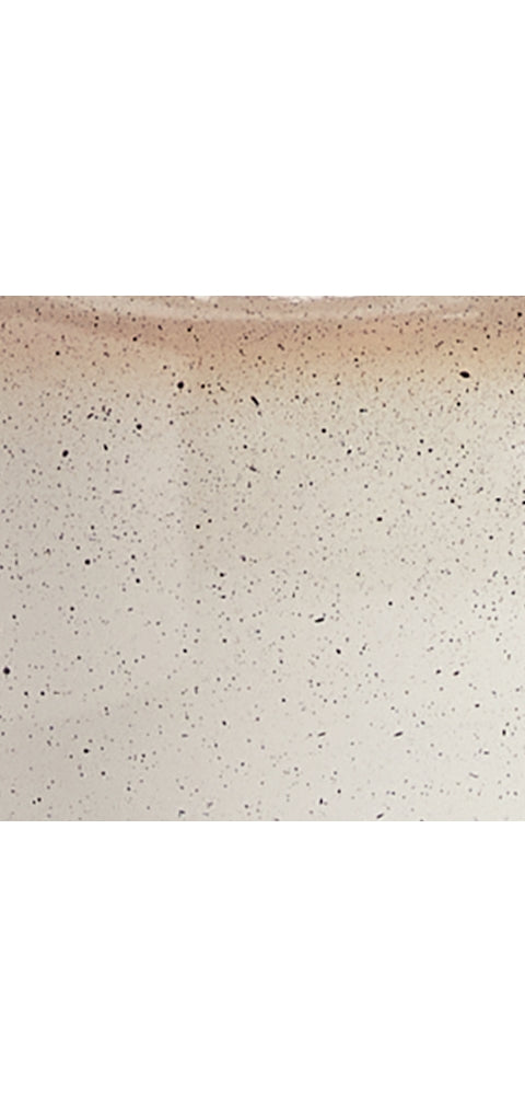 Waldish Metal Table Lamp (1/CN)