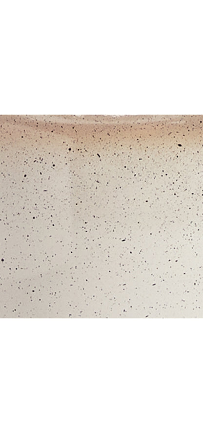 Waldish Metal Table Lamp (1/CN)