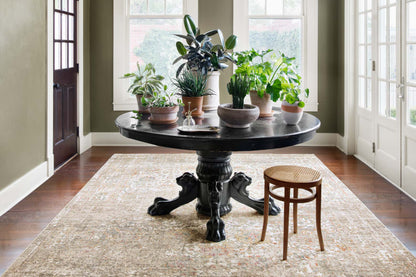 Magnolia Home by Joanna Gaines x Loloi Linnea LIN-05 Multi / Taupe