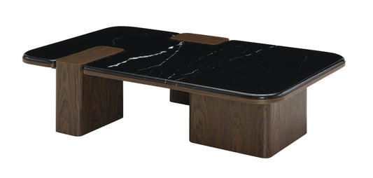 Dana Rectangular Coffee Table with Natural Marble Top