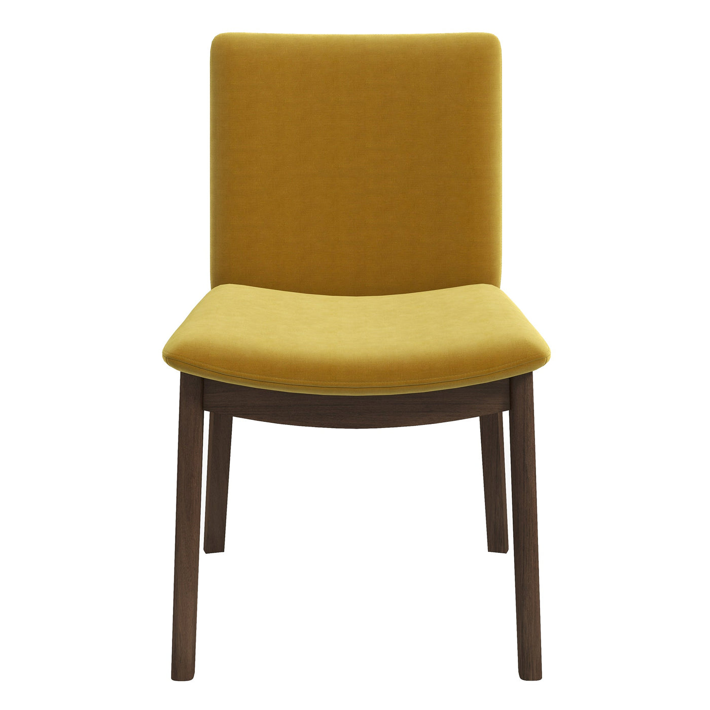 Silla de comedor Laura de madera maciza de terciopelo dorado (juego de 2)
