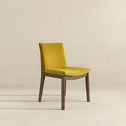 Silla de comedor Laura de madera maciza de terciopelo dorado (juego de 2)