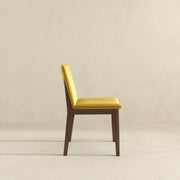 Silla de comedor Laura de madera maciza de terciopelo dorado (juego de 2)