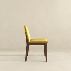 Silla de comedor Laura de madera maciza de terciopelo dorado (juego de 2)