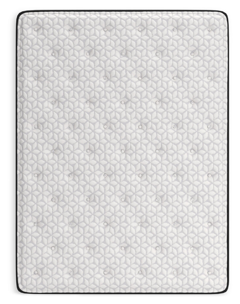 Limited Edition Plush Queen Mattress