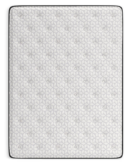 Limited Edition Plush Queen Mattress