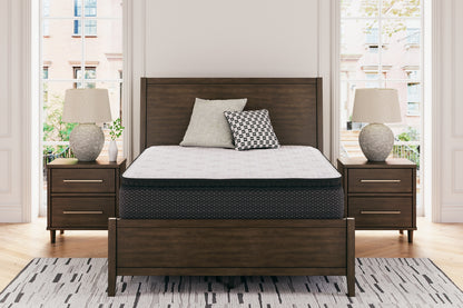 Limited Edition PT King Mattress