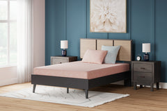 iKidz Coral Full Mattress and Pillow 2/CN