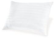Zephyr 2.0 Cotton Pillow (Set of 2)(9/CS)