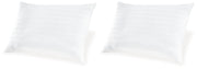 Zephyr 2.0 Cotton Pillow (Set of 2)(9/CS)