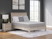 Terra Sleep Medium California King Mattress