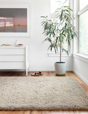 roomscene