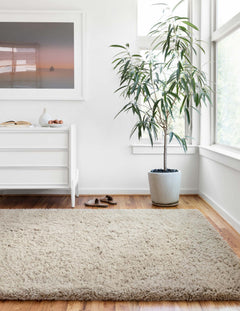 roomscene