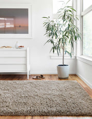 roomscene