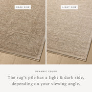 NEW-01 TAUPE / BONE