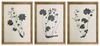 arte de pared Huddwick Set (3/CN)