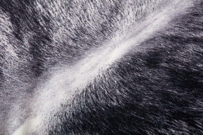 Almohadas Loloi P0979 Carbón