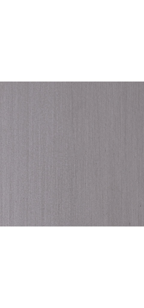 Dillon Beach Side Chair with Cushion (2/CN)