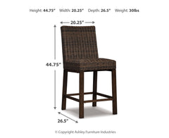 Paradise Trail Barstool (2/CN)