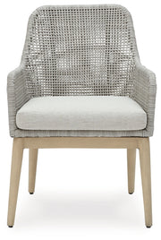 Seton Creek Arm Chair With Cushion (Set of 2)