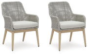 Seton Creek Arm Chair With Cushion (Set of 2)