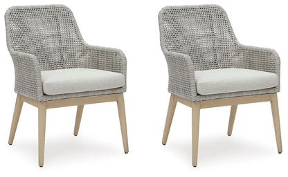 Seton Creek Arm Chair With Cushion (Set of 2)