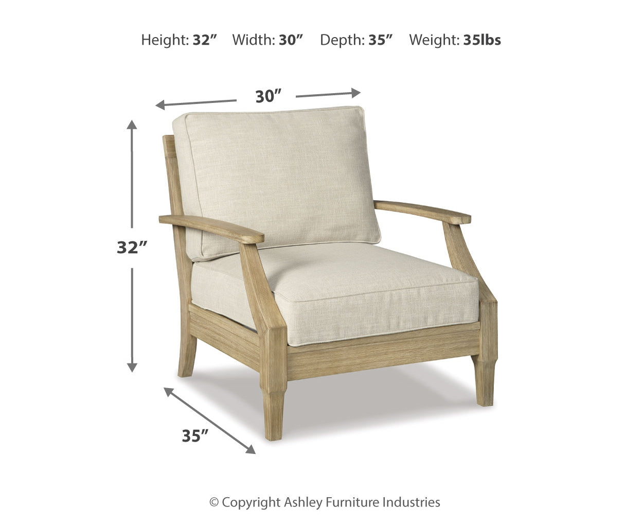 Clare View Lounge Chair w/Cushion (1/CN)