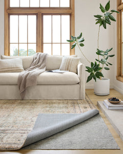 roomscene
