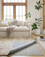 roomscene