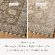 PRL-01 BARK / IVORY