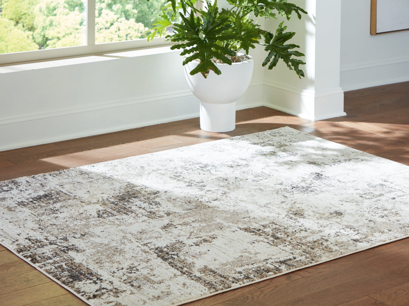 Barricland Medium Rug