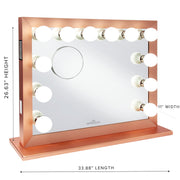 Starlight® Plus Vanity Mirror